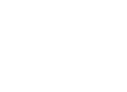 DCS Group